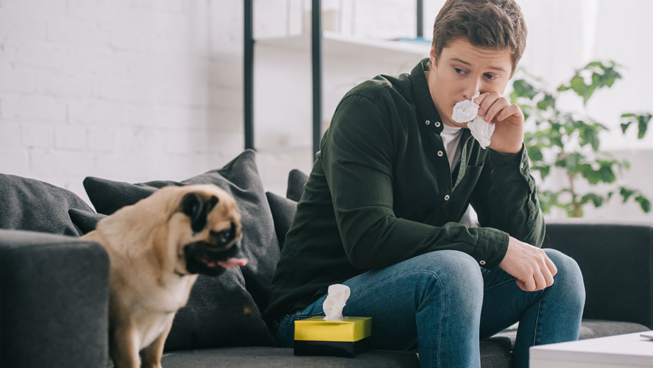 Purchasing an air purifier is one of the top methods to enhance your house’s indoor air quality. Find out more about the three top solutions. 